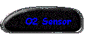 O2 Sensor